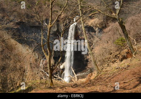 Cette photo de chutes Kegon a été prise à Nikko, Japon. Banque D'Images