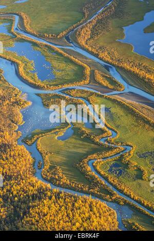 L'automne à l'Laitauredelta dans la lumière du soir, la Suède, la Laponie, Norrbotten Banque D'Images