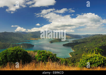 Vue depuis la montagne d'Onahau Kenepuru Sound, Nouvelle-Zélande, Sud de l'île, le Parc National de Marlborough Sounds Banque D'Images