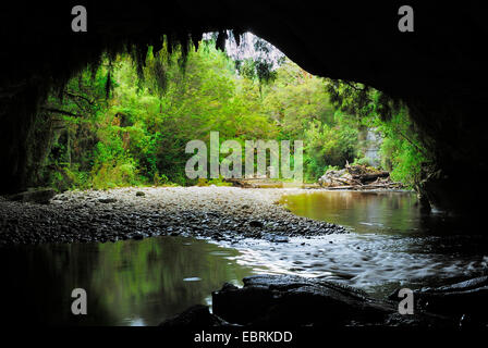 Moria Gate Arch et Oparara River, Nouvelle-Zélande, Sud de l'Île, Kahurangi National Park, bassin Oparara Banque D'Images