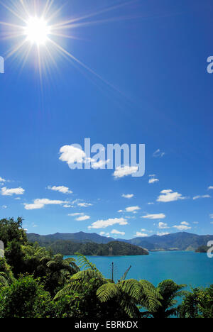 Kenepuru Sound, Nouvelle-Zélande, Sud de l'île, le Parc National de Marlborough Sounds Banque D'Images