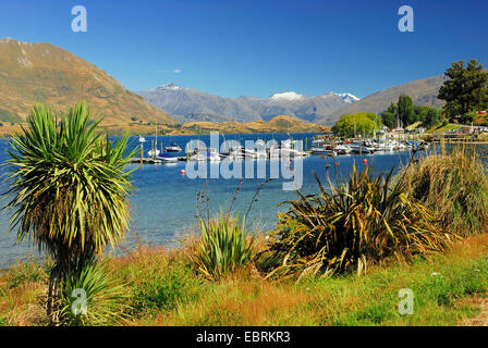 Lake Wanaka, Nouvelle-Zélande, île du Sud Banque D'Images