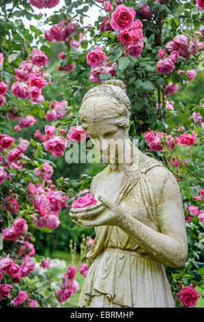 Plantes ornementales rose (Rosa 'Parade'), le cultivar Parade avec sculpture d'une femme Banque D'Images