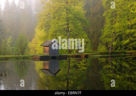 Cabane en bois miroir dans un lac au printemps, l'Allemagne, la Bavière, le Parc National de la forêt bavaroise, Altschoenau Banque D'Images