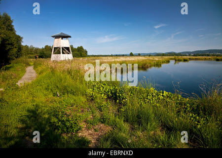 Grand landes près de Luebbecke avec look-out pour l'observation de la nature, de l'Allemagne, en Rhénanie du Nord-Westphalie, Luebbecke Banque D'Images