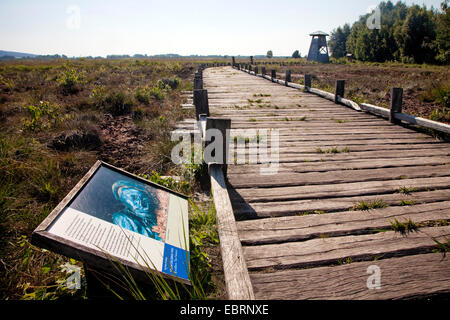 Grâce à la grande lande woodway près de Luebbecke avec signe de l'information et la veille, l'Allemagne, en Rhénanie du Nord-Westphalie, Luebbecke Banque D'Images