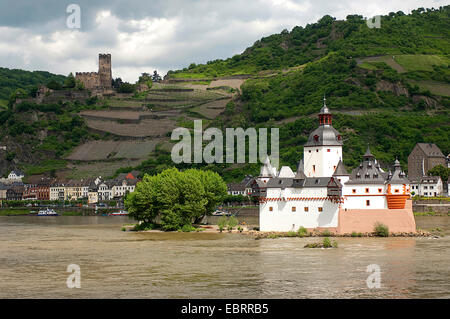 L'île château Pfalzgrafenstein, l'un des rares châteaux de la vallée du Haut-Rhin moyen qui n'a jamais été détruit, sur la colline de Burg Gutenfels , Allemagne, Rhénanie-Palatinat, Kaub Banque D'Images