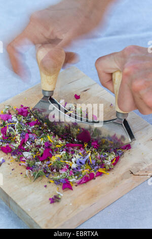 Les pétales sont comestibles choped, Allemagne Banque D'Images