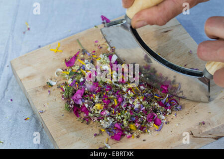 Les pétales sont comestibles choped, Allemagne Banque D'Images