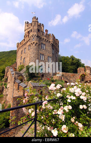 Château Sooneck, Allemagne, Rhénanie-Palatinat, Niederheimbach Banque D'Images