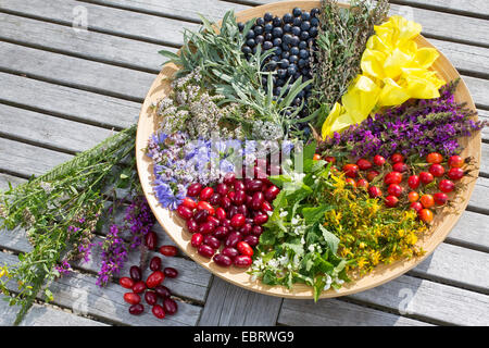 Plateau avec la fin de l'été, les fleurs et les fruits , Allemagne Banque D'Images