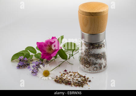 Moulin à épices avec le sel, le sel fleur aromatisé avec des fleurs comestibles Banque D'Images