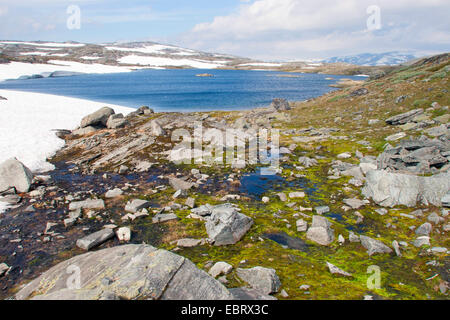 Paysage à la parc national de Jotunheimen, la Norvège, le parc national de Jotunheimen Banque D'Images