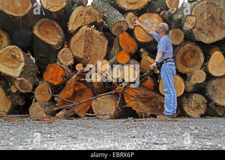 Homme debout en face de tas de bois, les pertes, l'Allemagne, en Rhénanie du Nord-Westphalie, région de la Ruhr, à Essen Banque D'Images