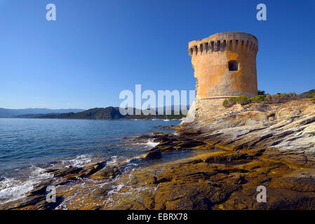 Tour génoise de Mortela près de la ville de saint Florent, île de Corse, France, France, Corse, les Agriates, Saint Florent Banque D'Images