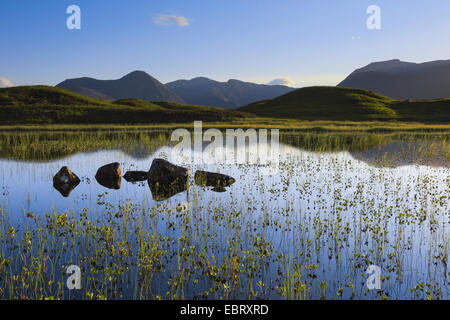 Rannoch Moor, Ghabhar Stob, Royaume-Uni, Ecosse Banque D'Images