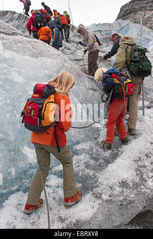 Voyageant sur glacier Nigardsbreen, un glacier glacier Jostedalsbreen de bras, la Norvège, le Parc National de Jostedalsbreen Banque D'Images