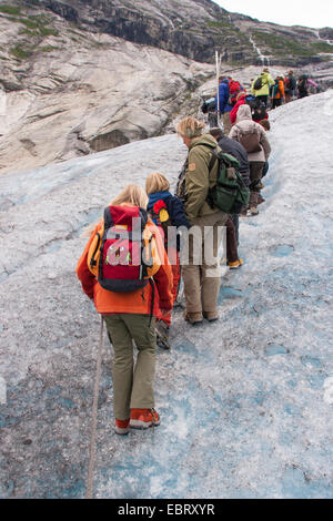 Voyageant sur glacier Nigardsbreen, un glacier glacier Jostedalsbreen de bras, la Norvège, le Parc National de Jostedalsbreen Banque D'Images