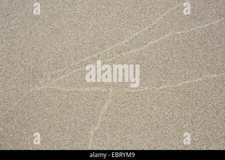 Structure dans le sable sur la plage, Royaume-Uni, Ecosse, Sutherland Banque D'Images