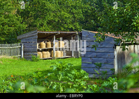 Ruches dans un jardin rural , Basse-Saxe, Allemagne Banque D'Images