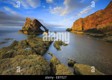 Côte Rocheuse avec Fiddle Bow Arch Rock, Royaume-Uni, Ecosse, Portknockie Banque D'Images