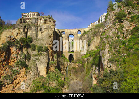 Ronda, Puente Nuevo sur la Gorge El Tajo, Espagne, Andalousie Banque D'Images