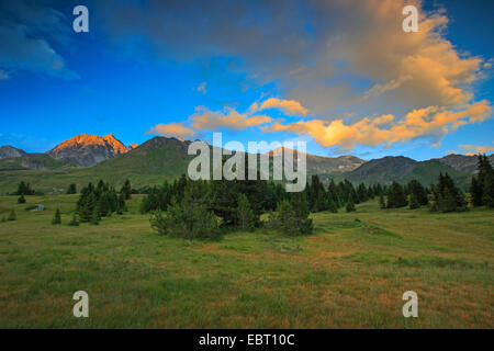 L'Alp Flix au coucher du soleil, Suisse, Grisons, Engadine Banque D'Images