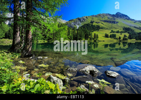 Lake Palpuogna au col d'Albula, Suisse, Grisons Banque D'Images