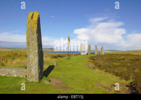 Anneau du néolithique henge Shetlands , Royaume-Uni, Ecosse, Orcades, Orkney Mainland Banque D'Images