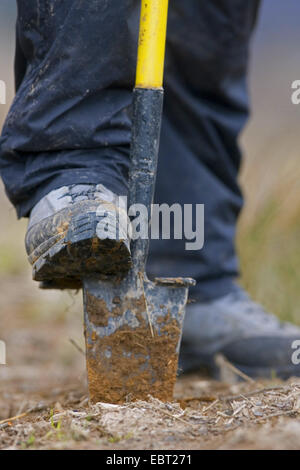 Close up of foot et spade durant la plantation session, Royaume-Uni, Ecosse Banque D'Images