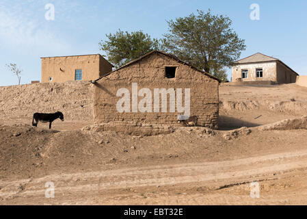 Âne dans village près de Shar e OCS, l'Ouzbékistan, en Asie Banque D'Images