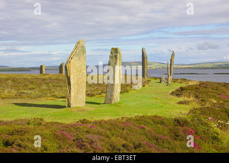 Anneau du néolithique henge Shetlands , Royaume-Uni, Ecosse, Orcades, Orkney Mainland Banque D'Images