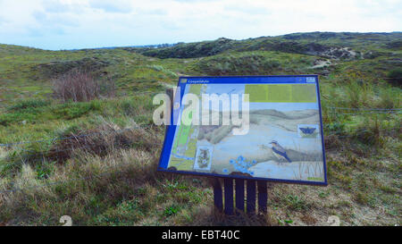 Informations Inscription en face de dunes d'herbe, Pays Bas, Hollande-du-Sud, Coepelduynen, Noordwijk aan Zee Banque D'Images