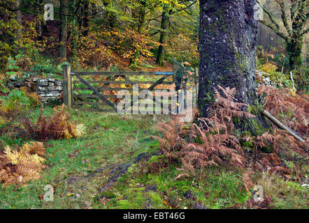 Six bois interdits field gate à l'automne dans le parc national de Snowdonia Gwynedd au nord du Pays de Galles au Royaume-Uni, la fin du printemps. Banque D'Images