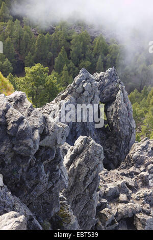 Rock formation au dôme de phonolite Nambroque, Canaries, La Palma, Ruta de los Volcanes Banque D'Images