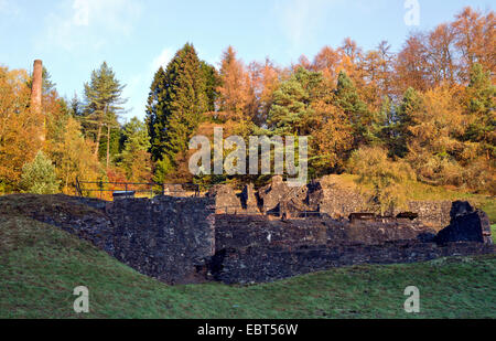 Retour à la nature, la nature de l'ancien site récupération Hafna mine à Nant Uchaf dans le Gwydyr forêt automne Parc national Snowdonia Banque D'Images