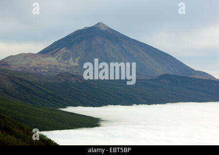 Vue de volcan Teide, Iles Canaries, Tenerife, le Parc National du Teide Banque D'Images