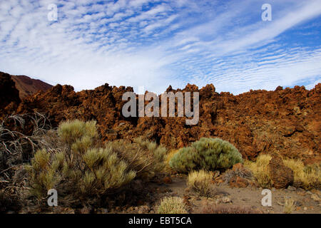 En obsidienne Ca±adas Caldera, Iles Canaries, Tenerife, le Parc National du Teide Banque D'Images