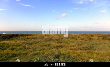 Vue sur les dunes d'herbe à la mer du Nord, Pays-Bas, Hollande-du-Sud, Coepelduynen, Noordwijk aan Zee Banque D'Images