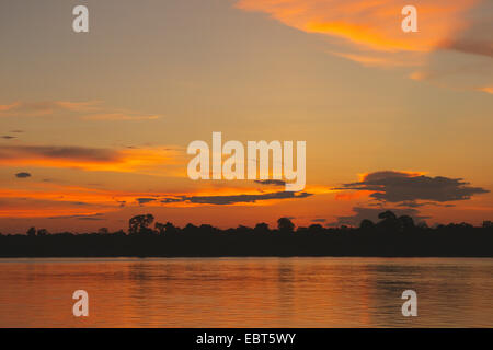 Coucher du soleil sur le fleuve Amazone, Rio Solim§es, le Brésil, l'Amazonas Banque D'Images