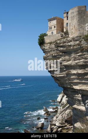 Maisons sur rocher, France, Corse, Bonifacio Banque D'Images