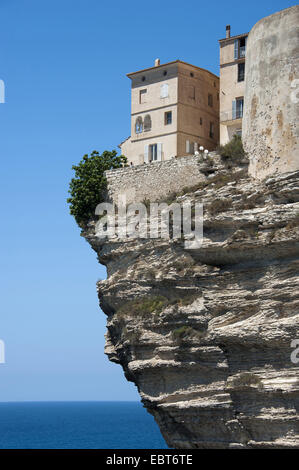 Maisons sur rocher, France, Corse, Bonifacio Banque D'Images