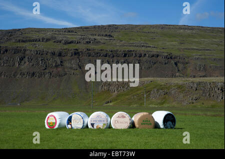 Publicité sur fromage balles d'ensilage dans un pré, de l'Islande Banque D'Images