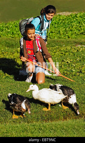 (Anas platyrhynchos Canard domestique f. domestica), deux adolescentes en regardant les canards sur une ferme dans les Alpes, France, les MÚnuires Banque D'Images