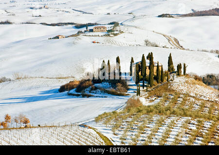 Podere Belvedere dans paysage couvert de neige, Italie, Toscane, San Quirico Banque D'Images