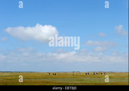 Visiteurs en 'de réserve naturelle de Slufter, Texel, Pays-Bas Banque D'Images