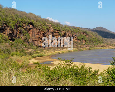 Rivière dans la savane, Afrique du Sud, le Parc National de Hluhluwe-Umfolozi, Camp de Mpila Banque D'Images