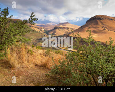 Giant's Castle Mountain group, Afrique du Sud, Kwazulu-Natal, Drakensberge Banque D'Images