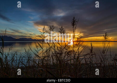 Incandescence du soir sur le lac de Chiemsee, en Allemagne, en Bavière, le lac de Chiemsee, Grabenstätt Banque D'Images