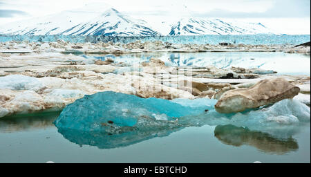 Les glaces à la dérive dans Van-Keulen-Fjord, Norvège, Svalbard Banque D'Images